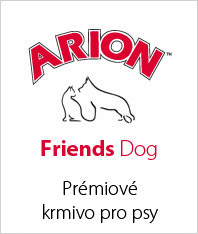 Arion Friends Dog